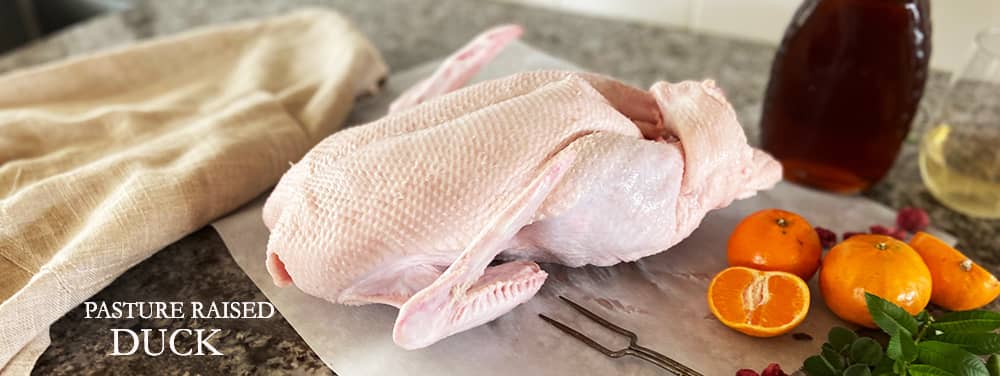 Product Category Duck
