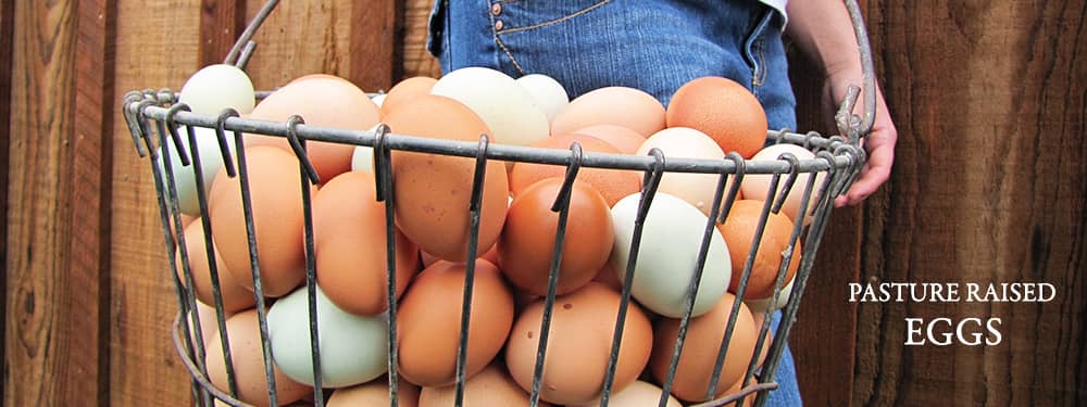Product Category Eggs