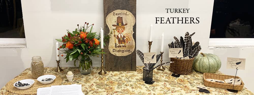 Product Category Turkey Feathers